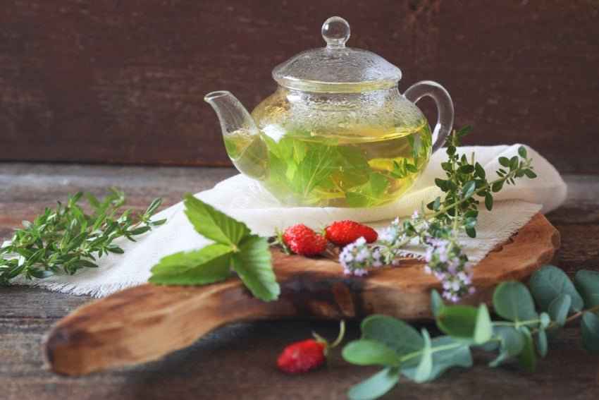 Wild Mint & Eucalyptus - Premium Fragrance Oil